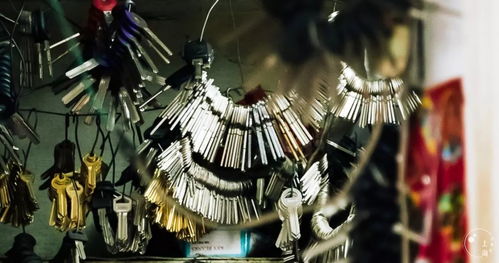 107年的建国西路已成为新晋打卡网红路