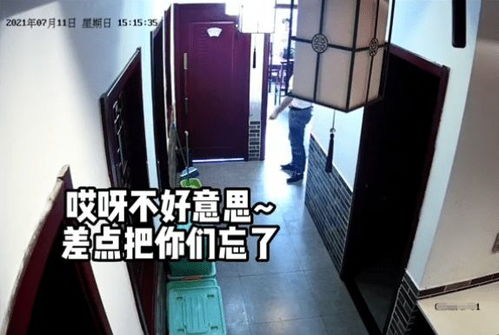 粗心老板误把顾客锁店内,到家后才接到电话,网友 得免单吧