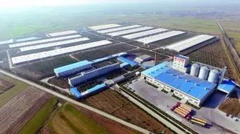 莱阳这家企业被烟台晚报大幅报道