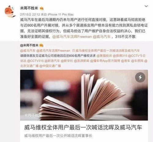 锁电 锁电 沈晖与何小鹏真要相约在315